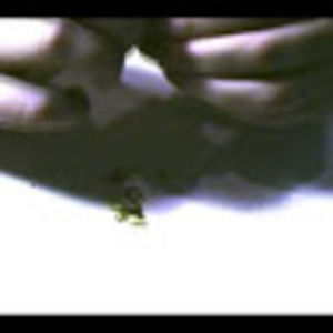 Meet your Posher, Emmeline